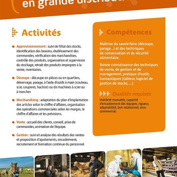 Chef boucher en grand distribution