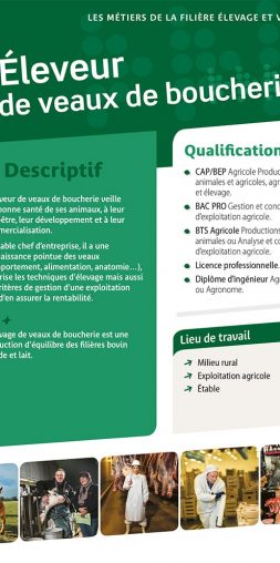 Eleveur de veaux de boucherie