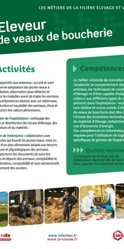 Eleveur de veaux de boucherie