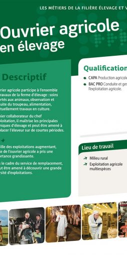 Ouvrier agricole en élevage