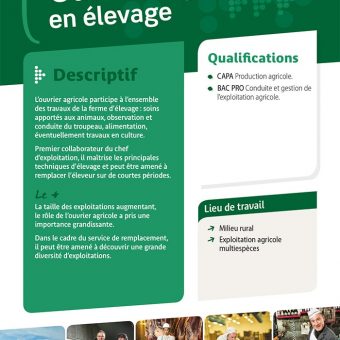 Ouvrier agricole en élevage