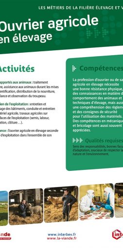 Ouvrier agricole en élevage