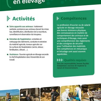 Ouvrier agricole en élevage