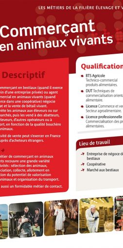 Commerçant en animaux vivants