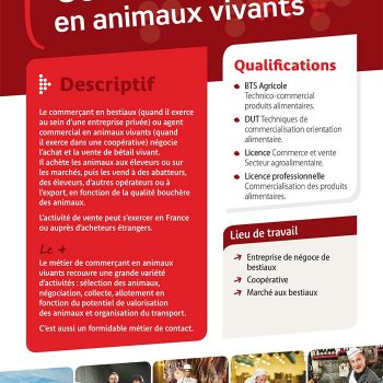 Commerçant en animaux vivants