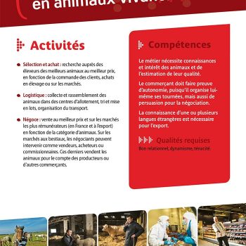 Commerçant en animaux vivants