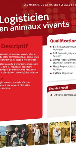 Logisticien en animaux vivants