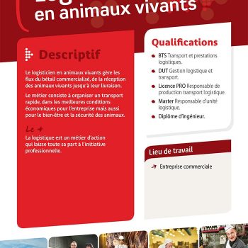 Logisticien en animaux vivants