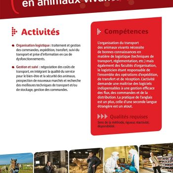 Logisticien en animaux vivants