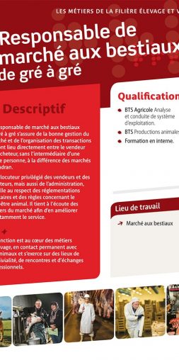 Responsable de marché aux bestiaux de gré à gré