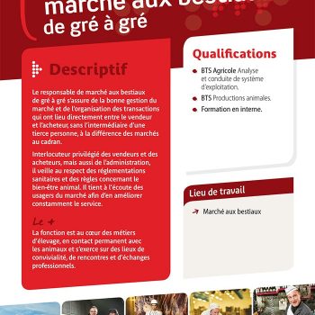Responsable de marché aux bestiaux de gré à gré