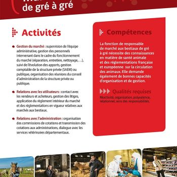 Responsable de marché aux bestiaux de gré à gré