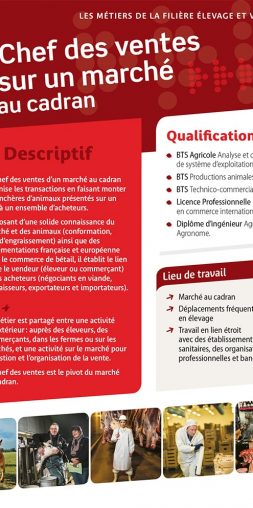 Chef des ventes sur un marché au cadran