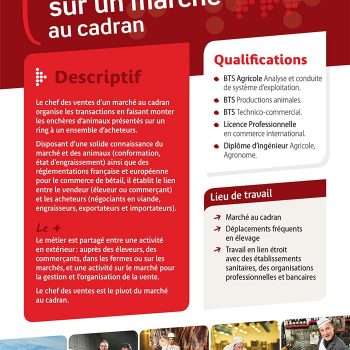 Chef des ventes sur un marché au cadran