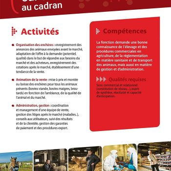 Chef des ventes sur un marché au cadran