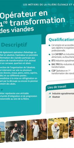 Opérateur en 1ère transformation des viandes