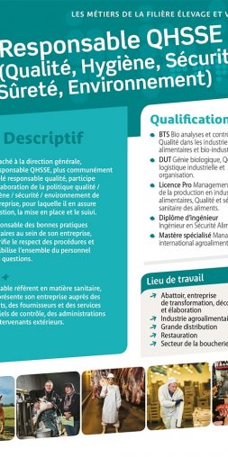 Responsable QHSSE