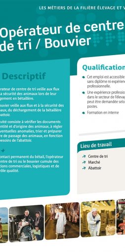 Opérateur de centre de tri / Bouvier